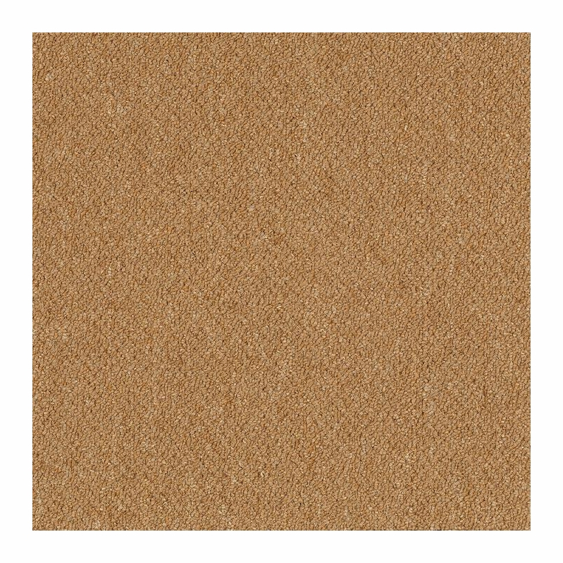 Patcraft Scholastic II 26 Curricula Carpet
