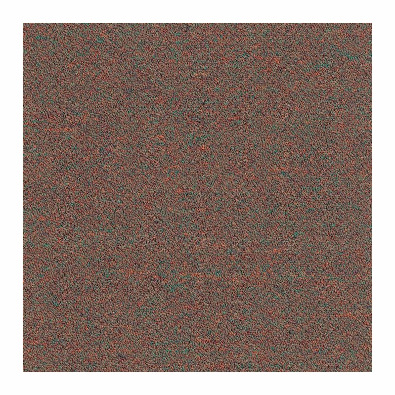 Patcraft Scholastic II 26 Dean Carpet