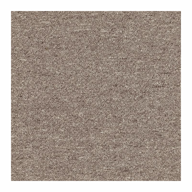 Patcraft Scholastic II 26 Finals Carpet