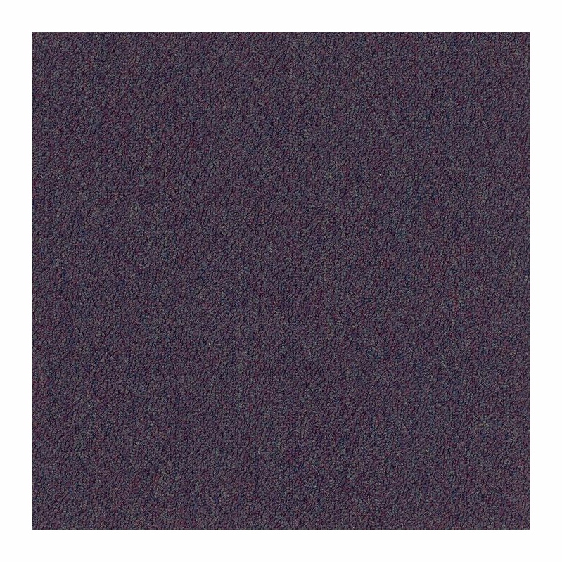Patcraft Scholastic II 26 Midterm Carpet