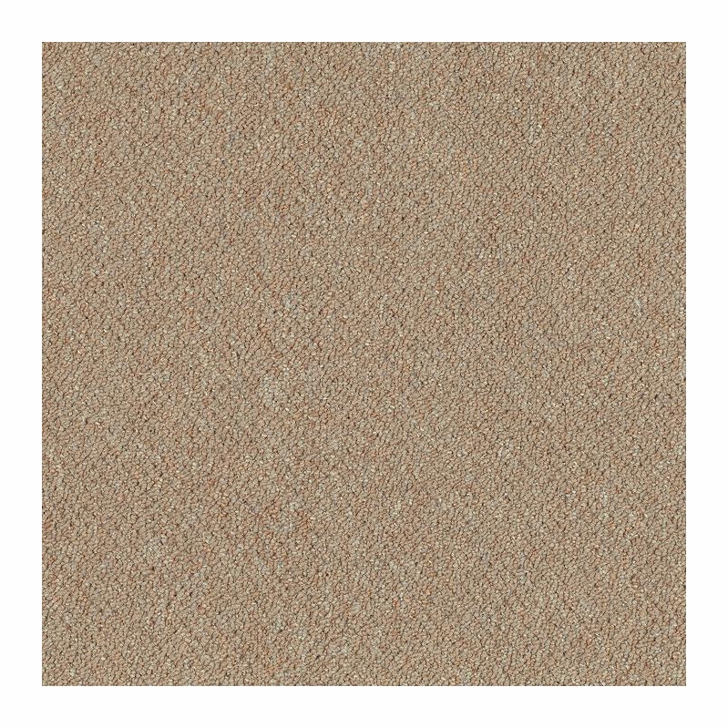 Patcraft Scholastic II Elective Carpet Tile