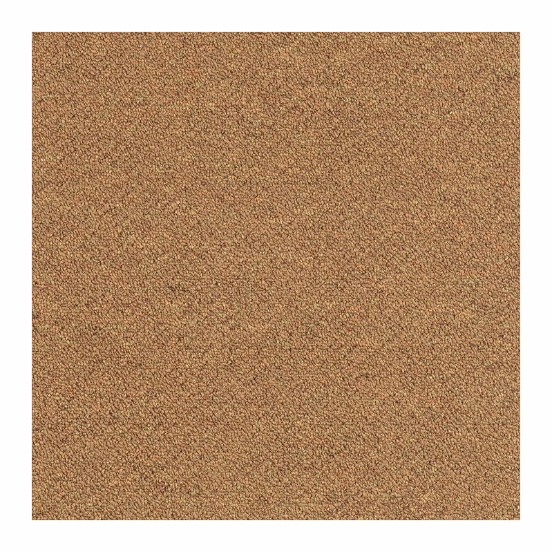 Patcraft Scholastic II Graduate Program Carpet Tile