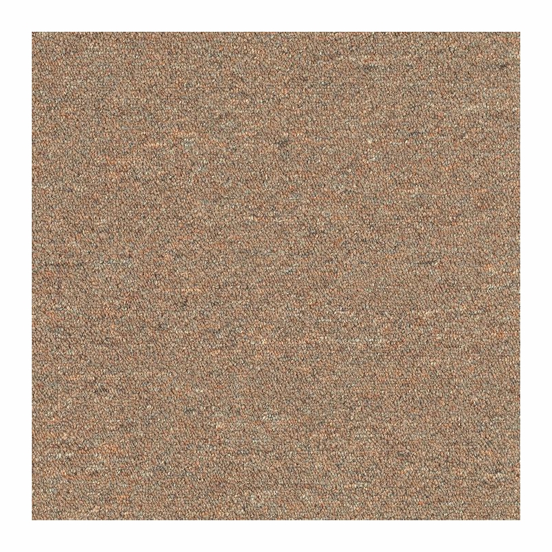 Patcraft Scholastic II Intramural Carpet Tile