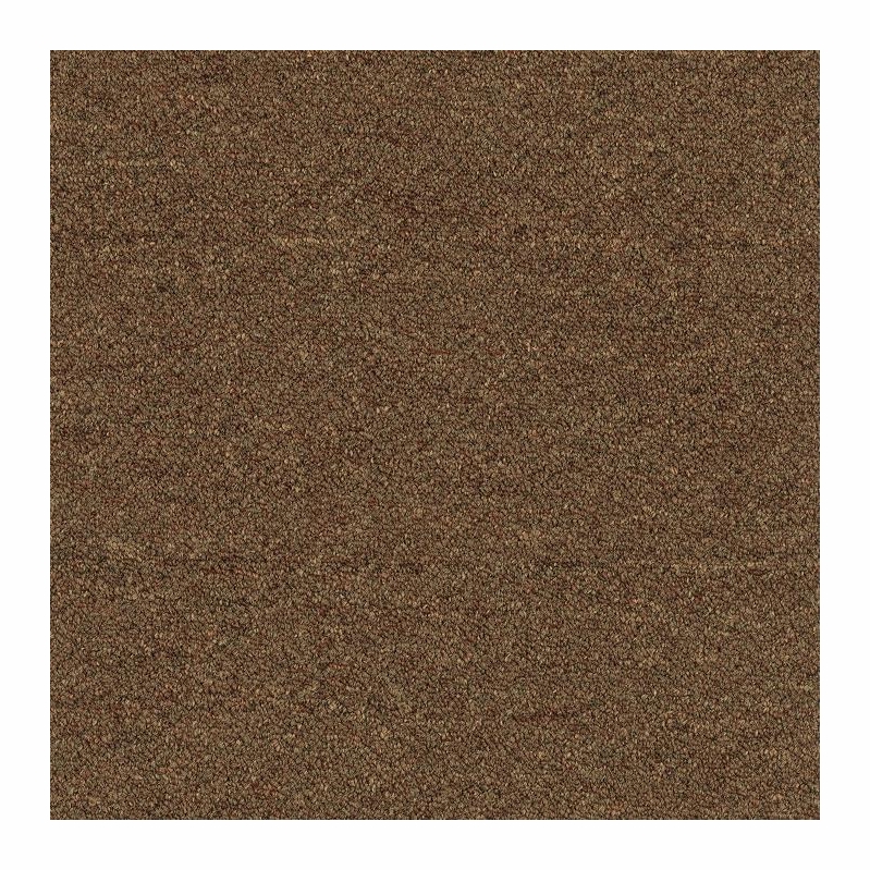 Patcraft Scholastic II Student Loans Carpet Tile