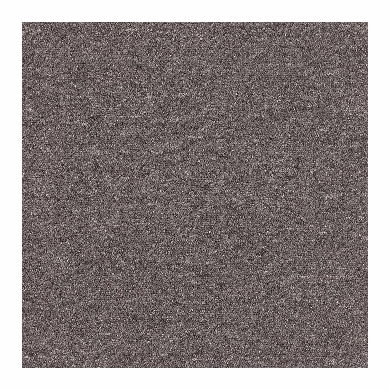 Patcraft Scholastic II Undergraduate Carpet Tile