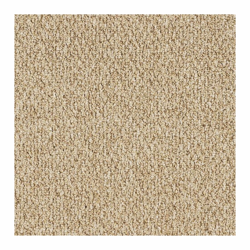 Patcraft Socrates II 26 Berkeley Carpet