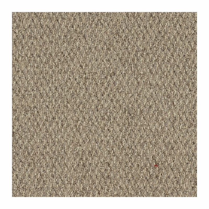 Patcraft Socrates II 26 Schiller Carpet