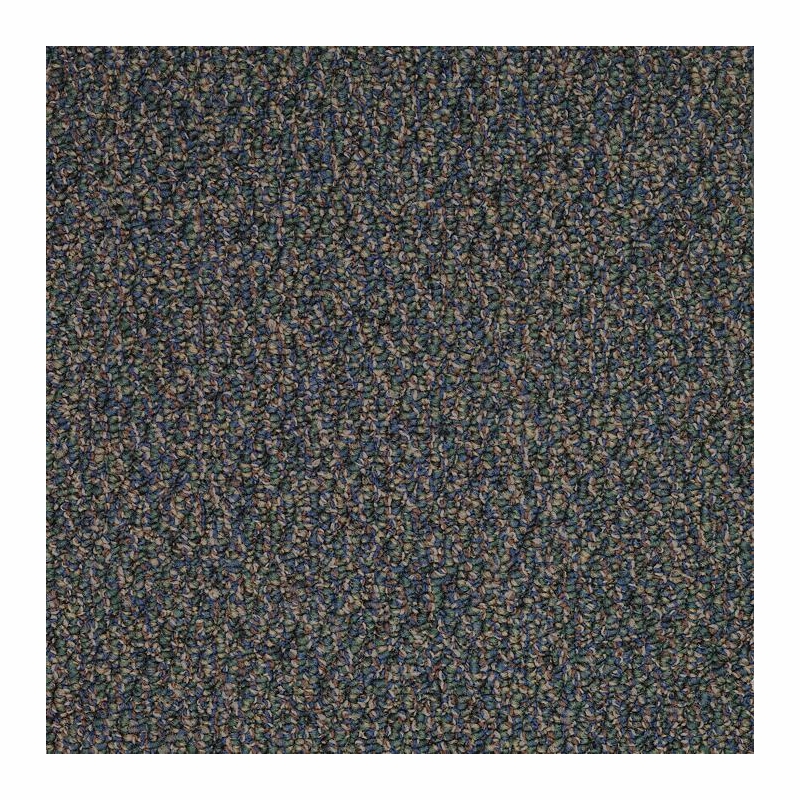 Patcraft Socrates II 26 Schweitzer Carpet