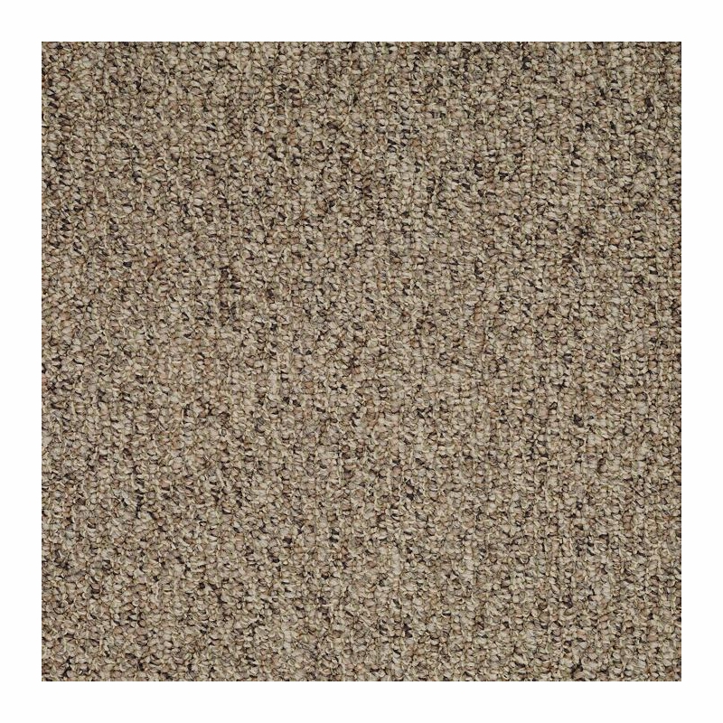 Patcraft Socrates II 26 Sorel Carpet