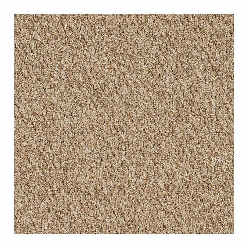 Patcraft Socrates II Descartes Carpet Tile