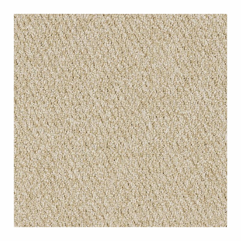 Patcraft Socrates II Hume Carpet Tile