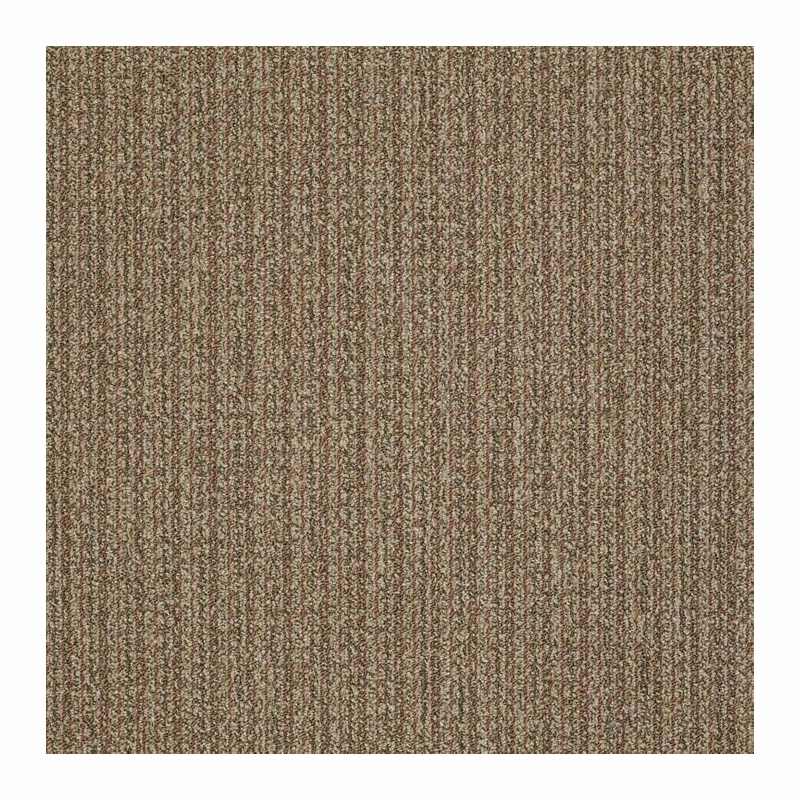 Patcraft Stride Cantor Carpet