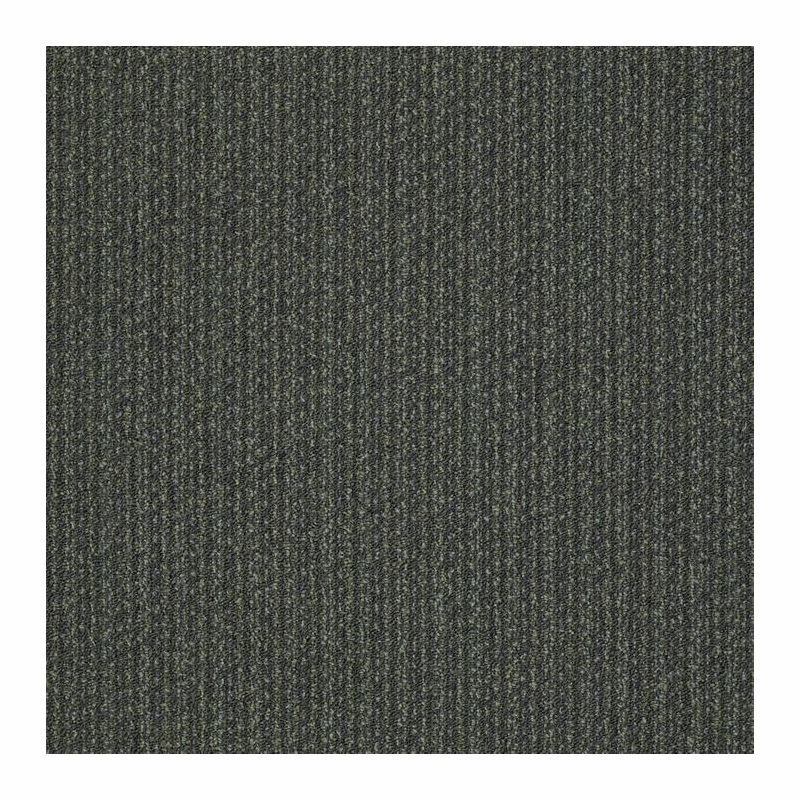 Patcraft Stride Gallop Carpet