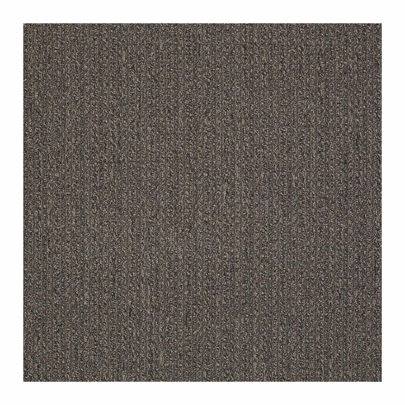 Patcraft Stride Stroll Carpet