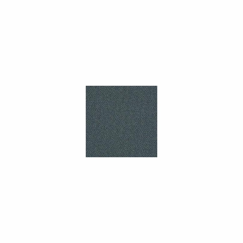 Patcraft Technique Cautious Carpet