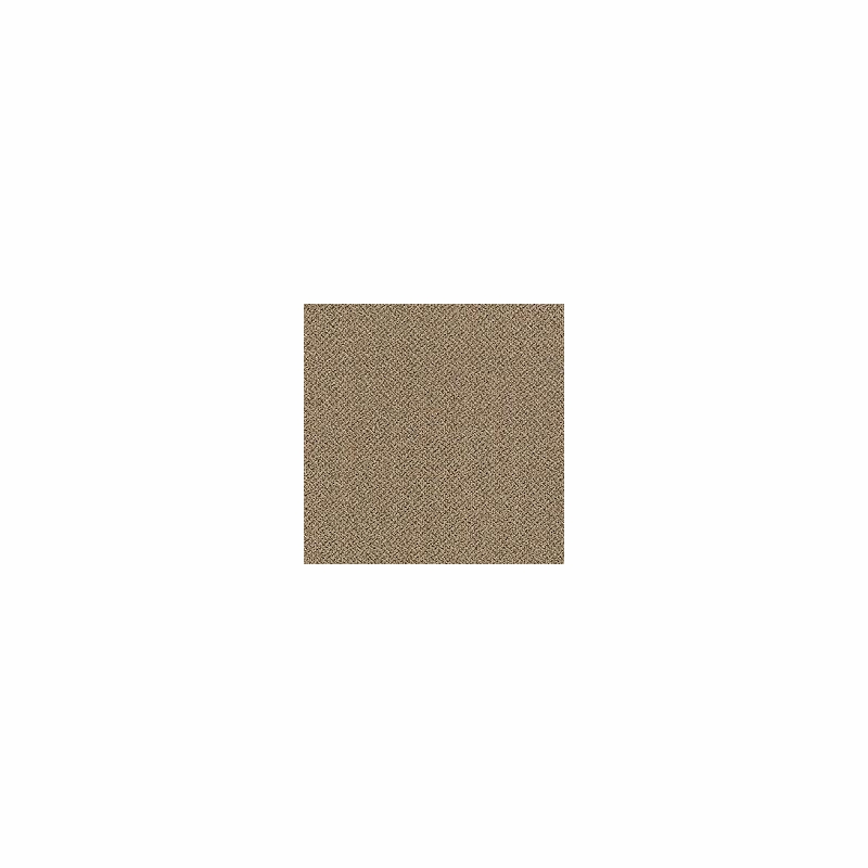 Patcraft Technique Literal Carpet