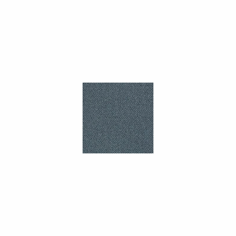 Patcraft Technique Shotgun Carpet