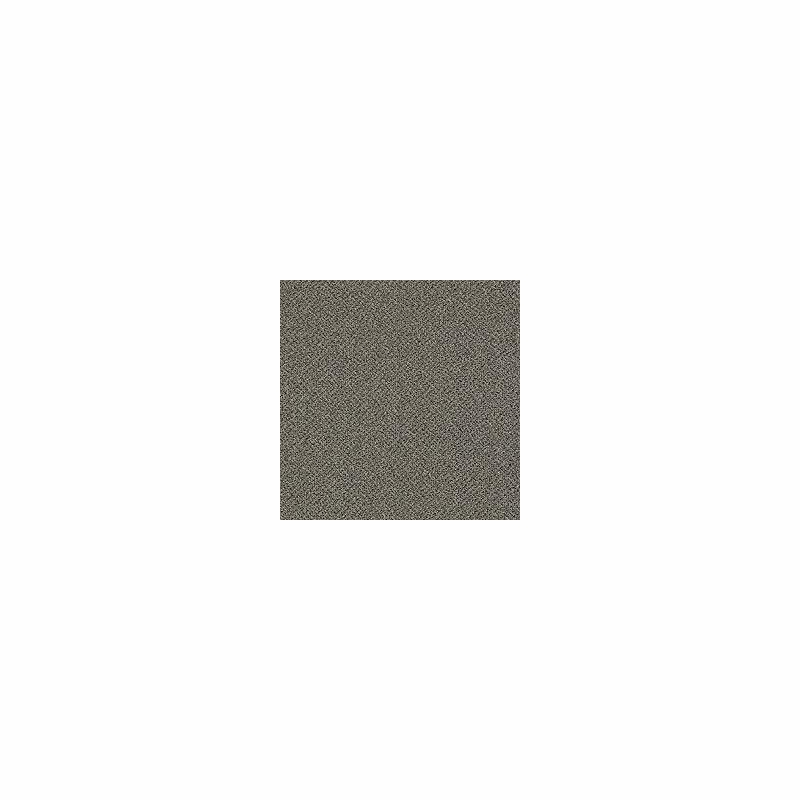 Patcraft Technique Stylized Carpet