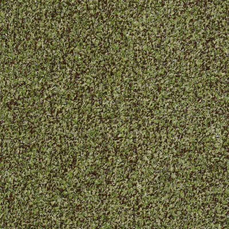 Philadelphia Commercial Arbor View Mossy Bark