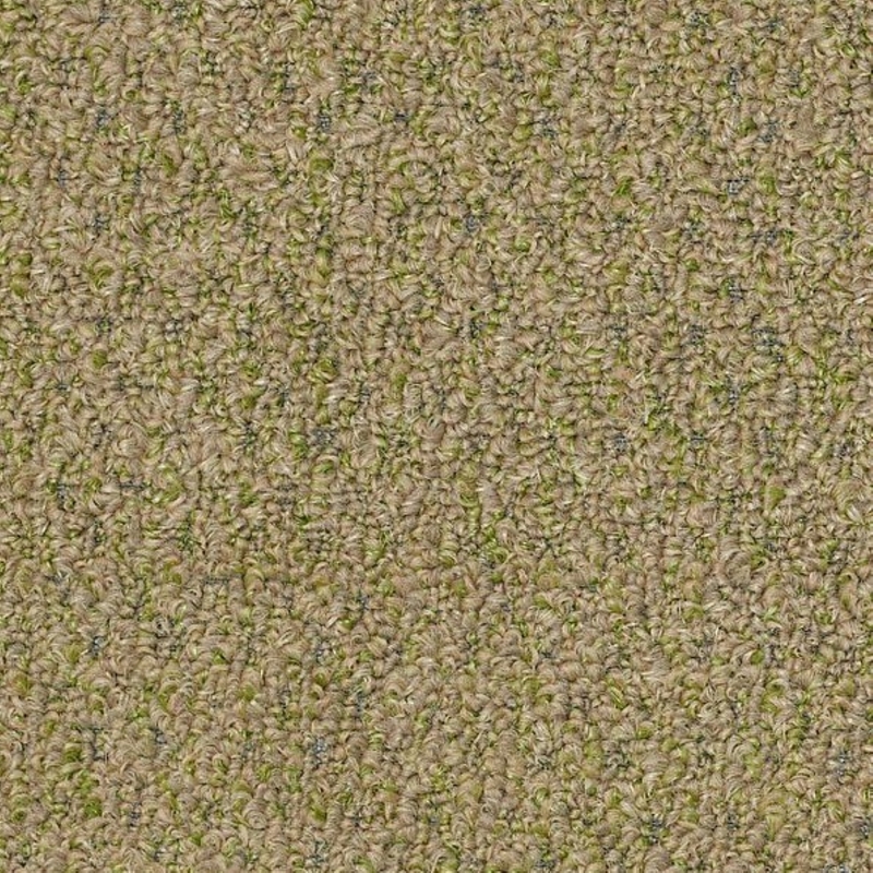 Philadelphia Commercial Gardenscape Wheat Grass