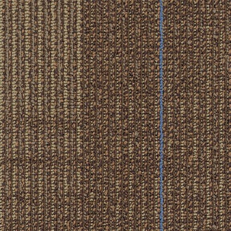 Shaw Contract Diffuse Nomad 9 X 36