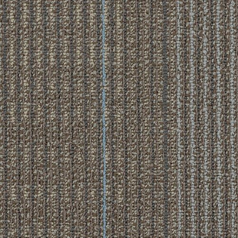 Shaw Contract Disperse Climate 24 x 24