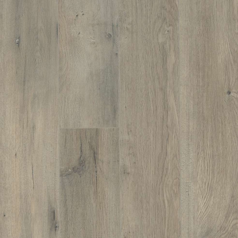 Shaw Simplicity Plus Alloy