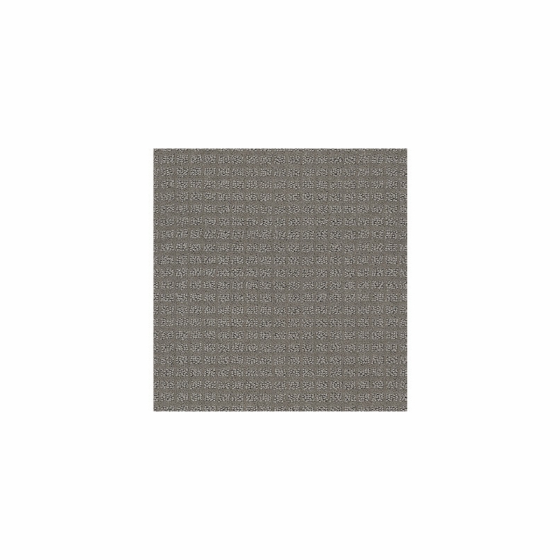 Tuftex Gallery Row Casual Gray