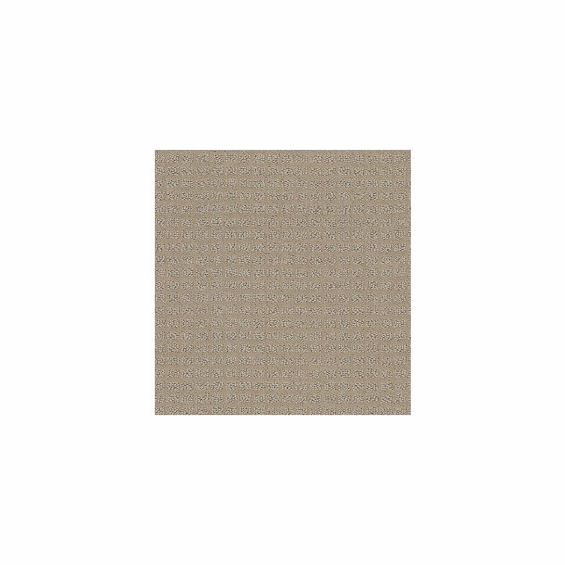 Tuftex Gallery Row Soft Suede