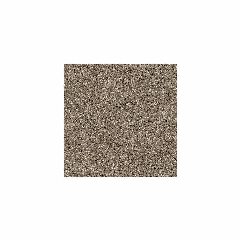Tuftex Glide Latte