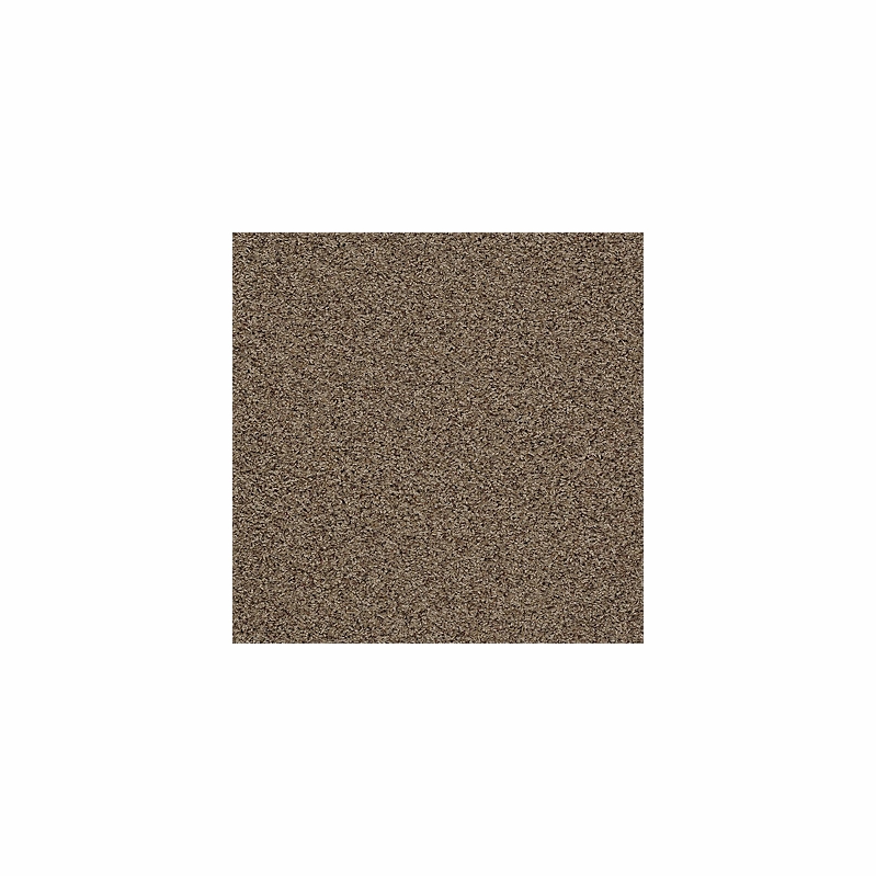 Tuftex I Feel Fine II Brown Sugar