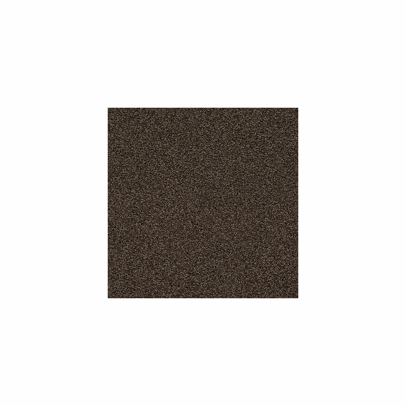 Tuftex I Feel Fine II Brownstone