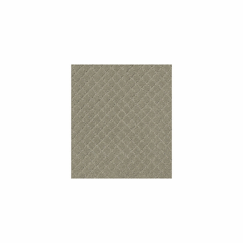 Tuftex Pawnache Gray Mirage