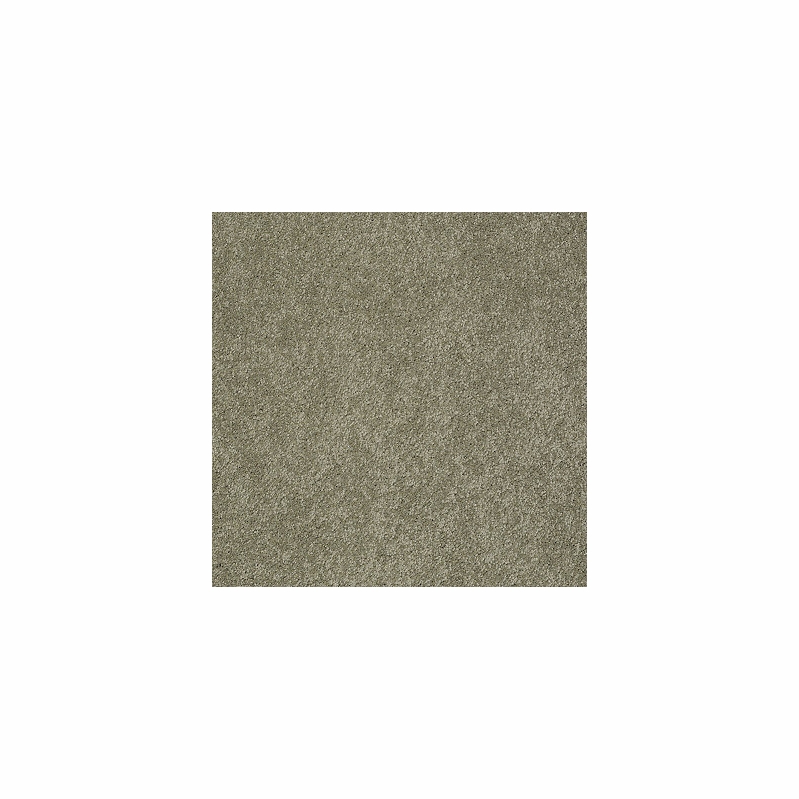 Tuftex Pawparazzi II Dry Sage