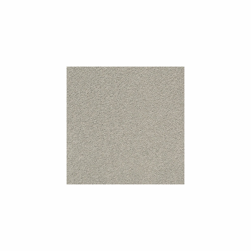 Tuftex Pawparazzi II Silver Fox