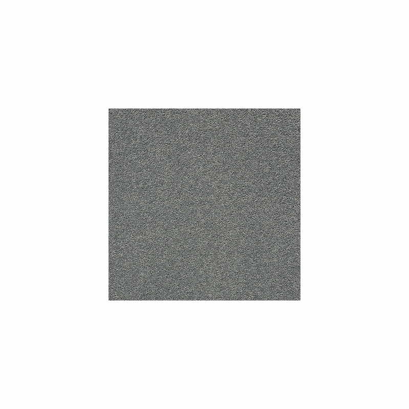 Tuftex Pawparazzi II Steel Wool