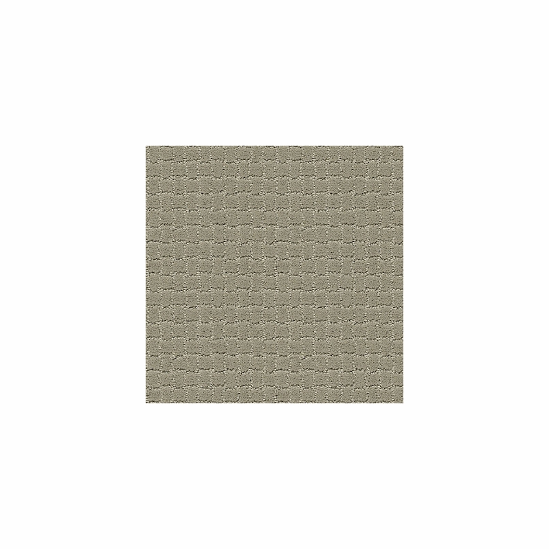 Tuftex Pawstruck Gray Mirage