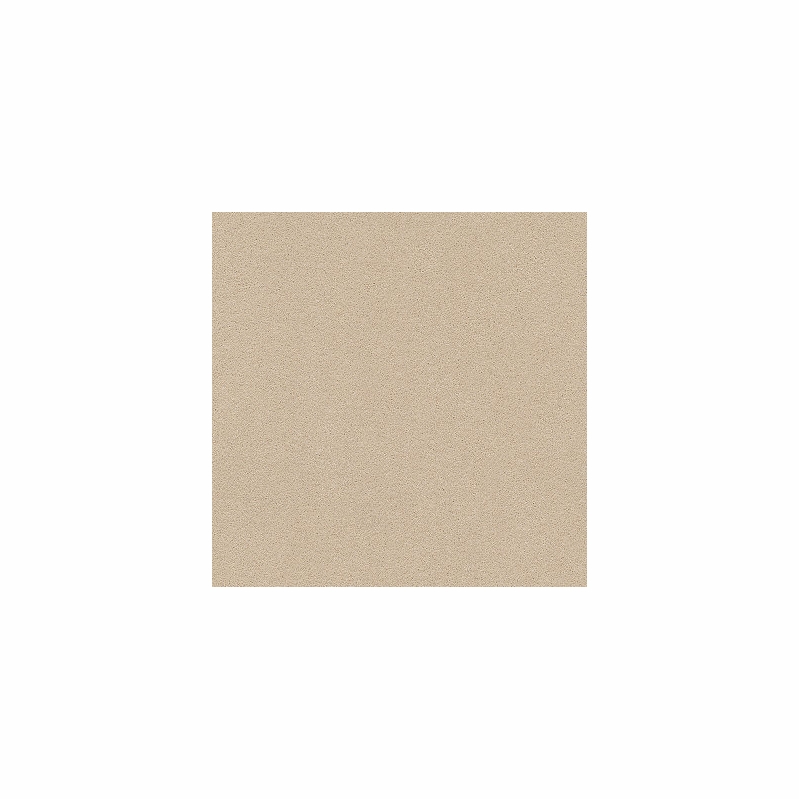Tuftex Perfect Choice Cocoa Sand