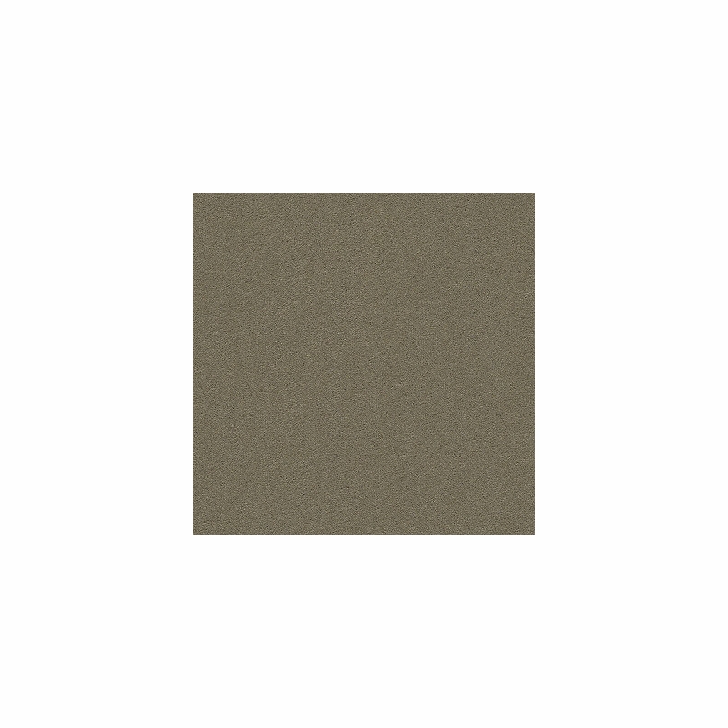 Tuftex Perfect Choice Sleek Suede