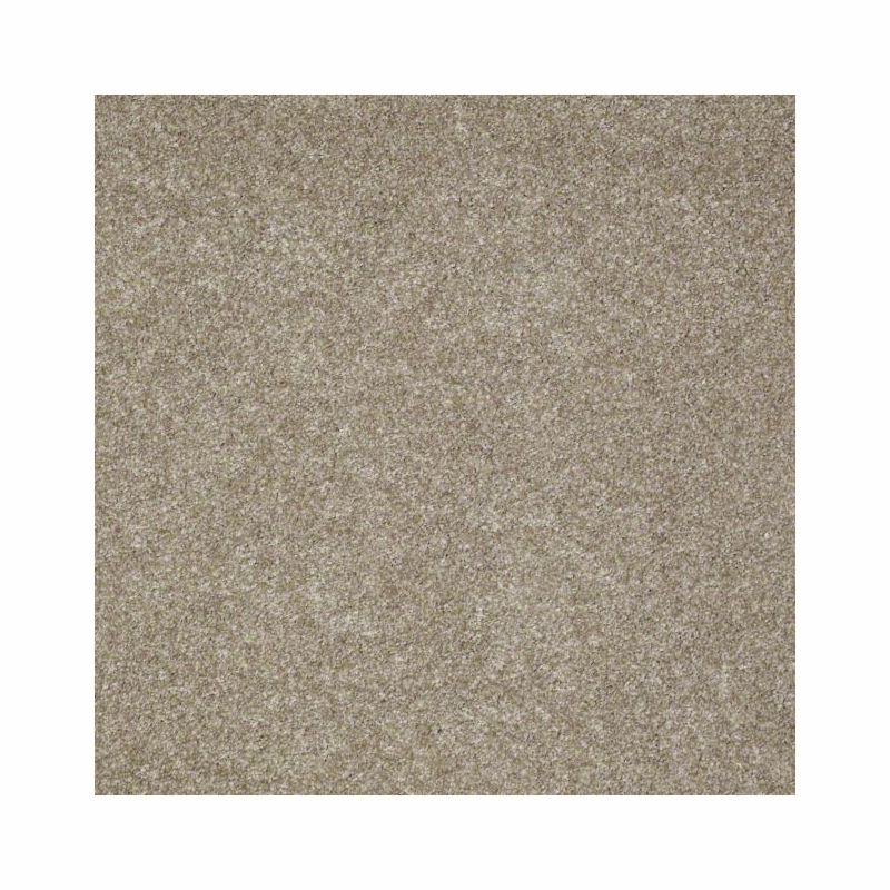 Tuftex Poetic Barely Taupe