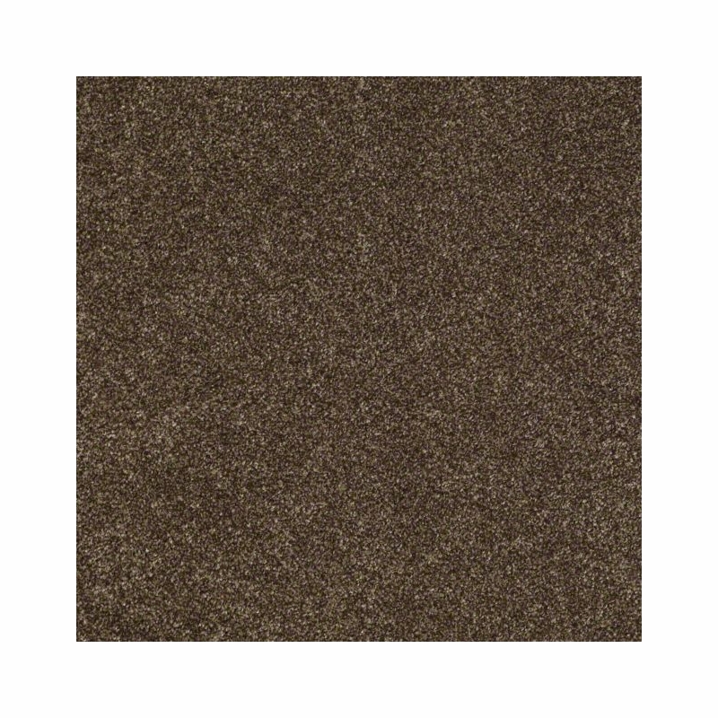 Tuftex Poetic Disco Brown