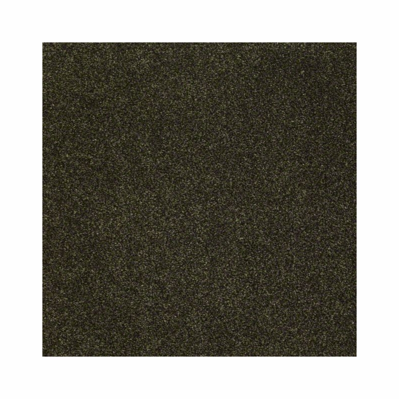 Tuftex Poetic Spruce