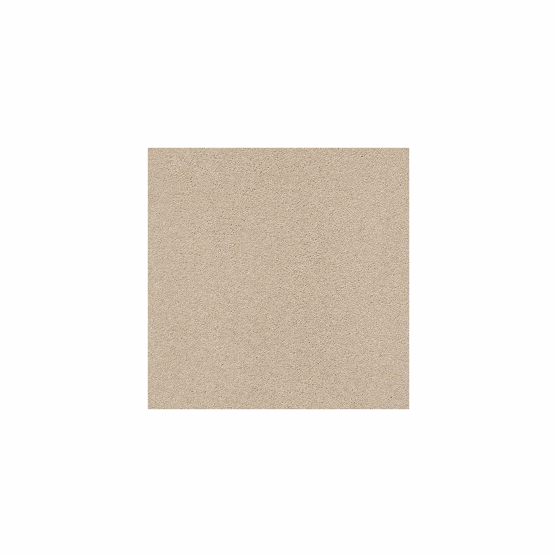 Tuftex Second Glance Cocoa Sand