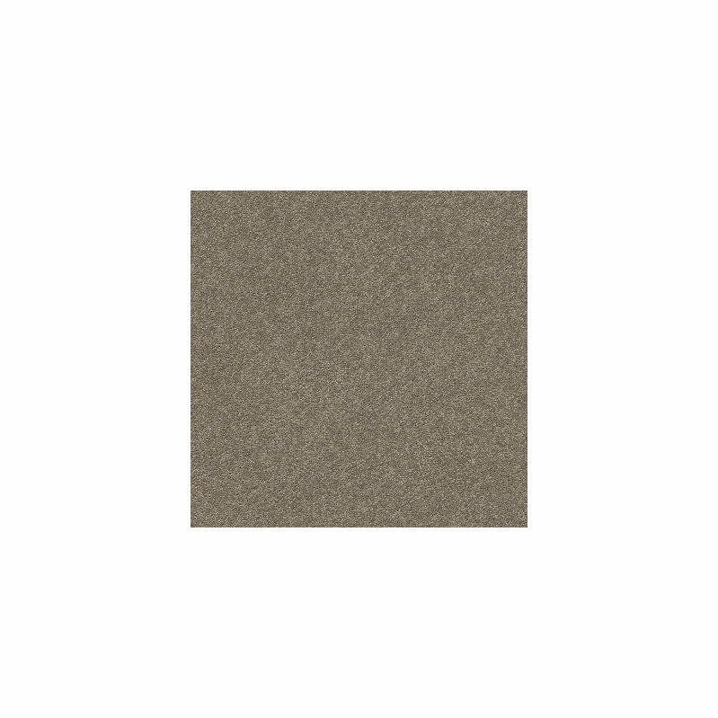 Tuftex Second Glance Sleek Suede
