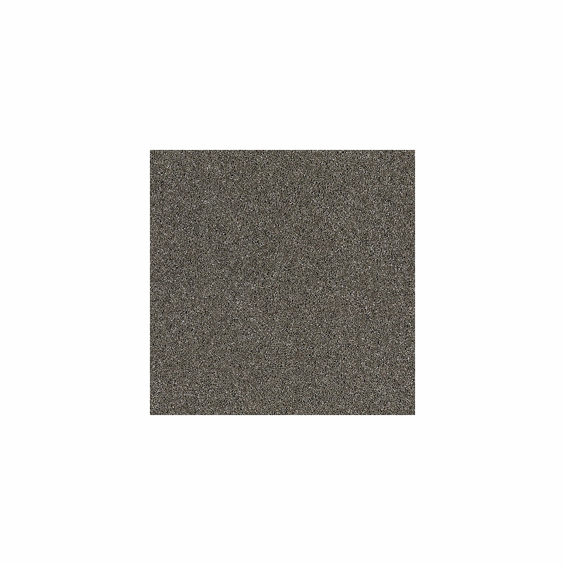 Tuftex Shuffle Ash Gray