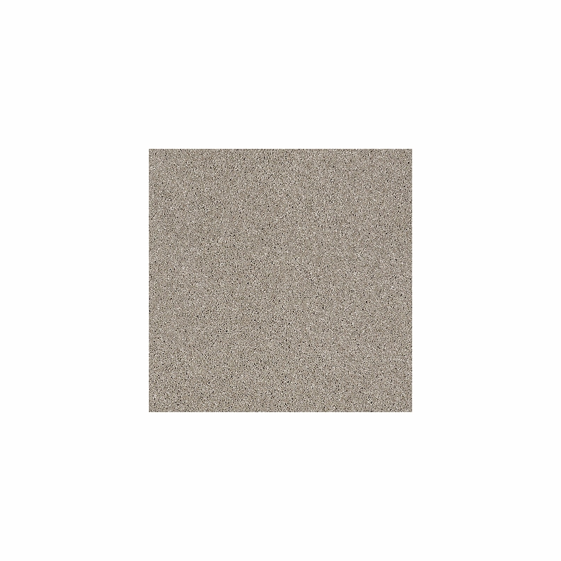 Tuftex Shuffle Driftwood