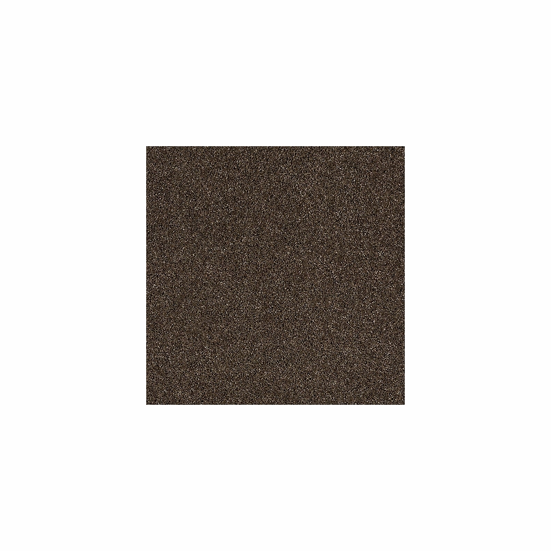 Tuftex Shuffle Sable