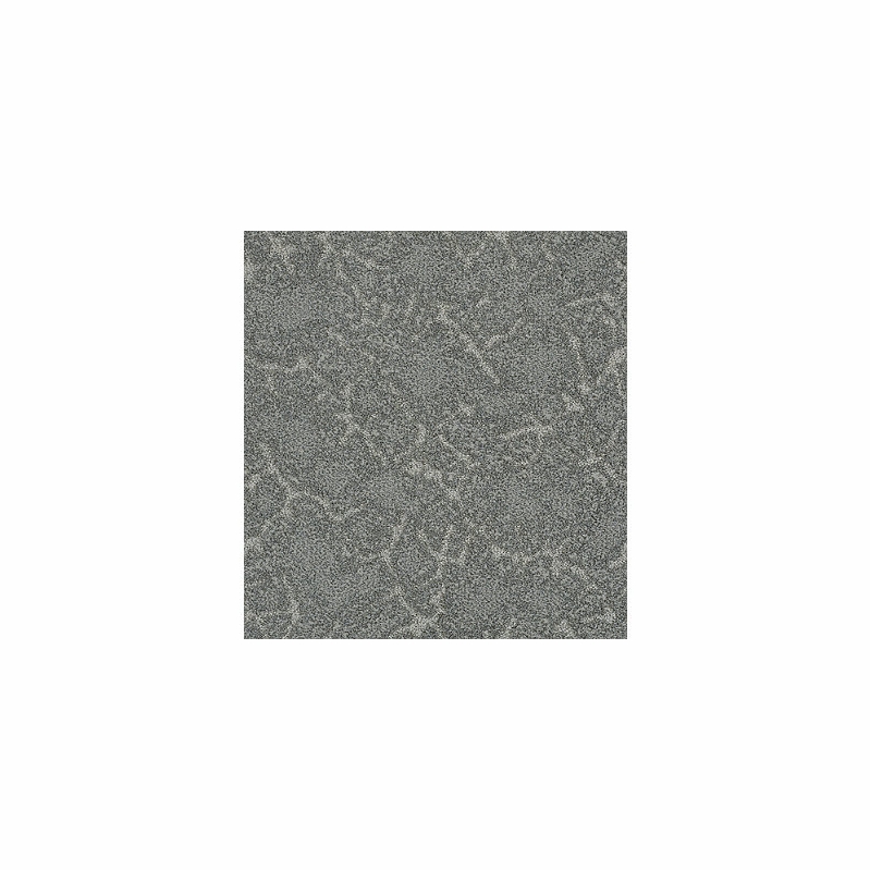 Tuftex Stargazer Gray Wisp