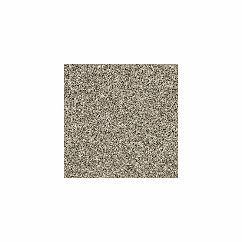 Tuftex The Bark Side I Sandstone