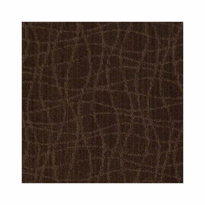 Tuftex Twist Catskill Brown